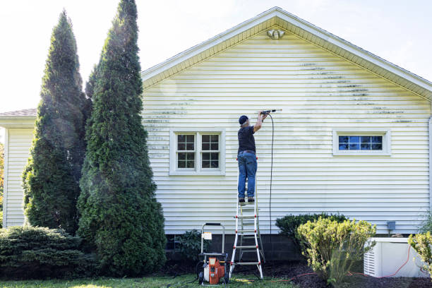 Best Fence Cleaning  in New Waverly, TX