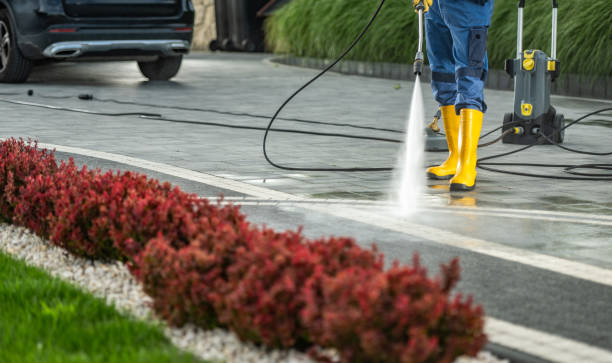 Best Driveway Pressure Washing  in New Waverly, TX